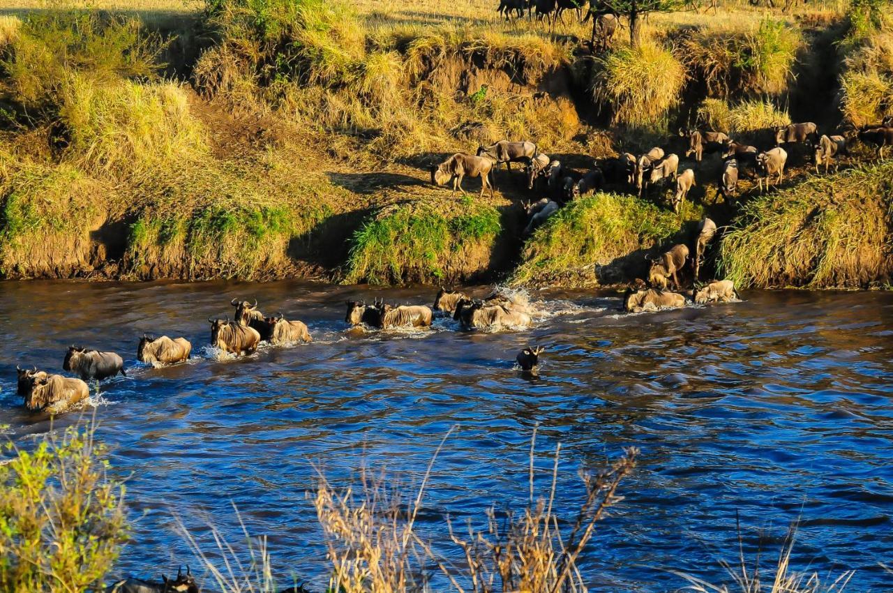 Serengeti Savannah Camps Soronera Ngoại thất bức ảnh