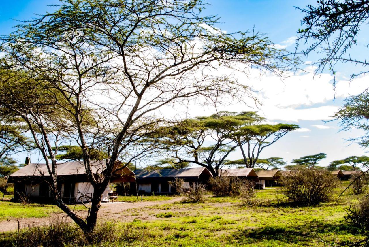 Serengeti Savannah Camps Soronera Ngoại thất bức ảnh