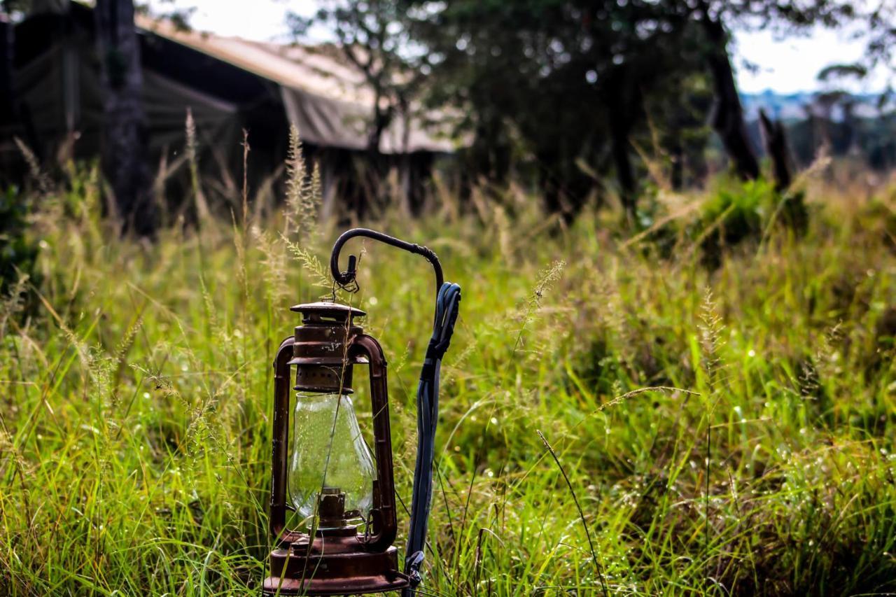 Serengeti Savannah Camps Soronera Ngoại thất bức ảnh