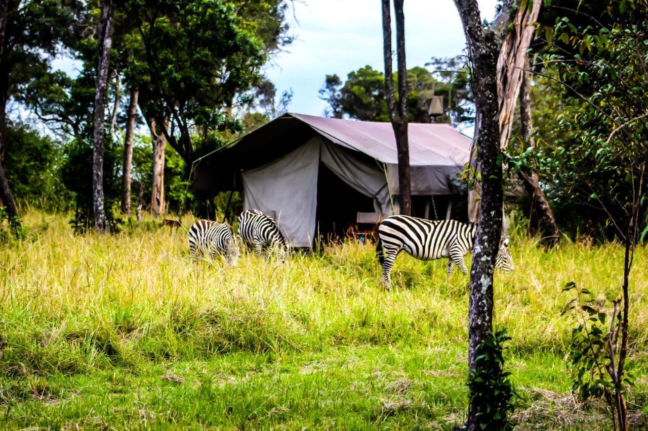 Serengeti Savannah Camps Soronera Ngoại thất bức ảnh