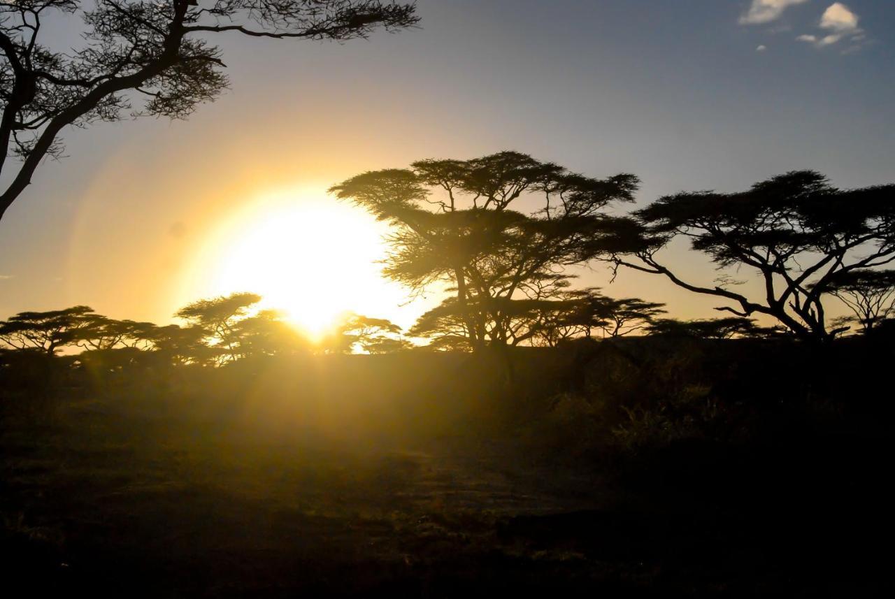 Serengeti Savannah Camps Soronera Ngoại thất bức ảnh