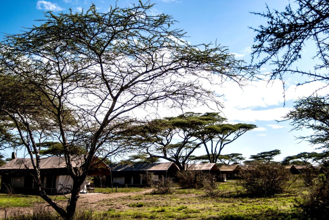 Serengeti Savannah Camps Soronera Ngoại thất bức ảnh