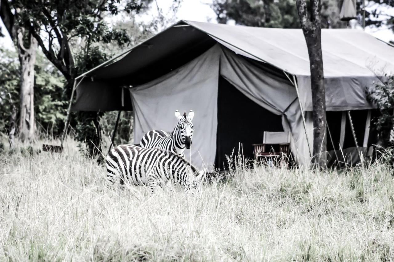 Serengeti Savannah Camps Soronera Ngoại thất bức ảnh