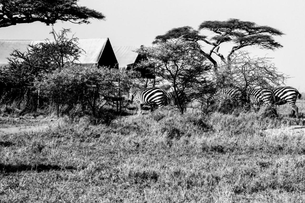 Serengeti Savannah Camps Soronera Ngoại thất bức ảnh